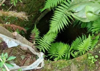 Brutal crimen: encontraron maniatado dentro de un pozo de agua el cuerpo de la taxista desaparecida