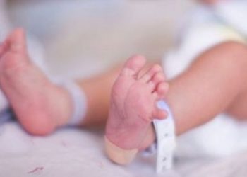 Cremaron al bebé equivocado y echaron al encargado de la morgue