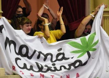 Diputados convirtió en ley el marco regulatorio para el cannabis medicinal y el cáñamo industrial