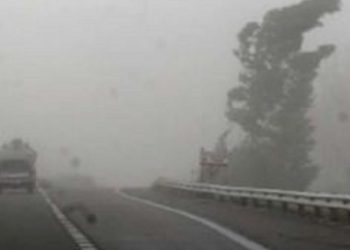 Emitieron una alerta amarilla por zonda en varias zonas de Mendoza