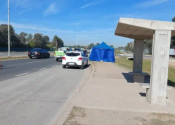 Tragedia: Esperaba el colectivo y lo aplastó la rueda de un camión que perdió dos neumáticos