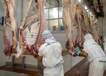 Frigoríficos plantearon dudas sobre el plan ganadero del Gobierno