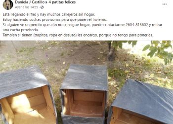 Hace “cuchas” para los perritos sin hogar que pasan el invierno en la calle