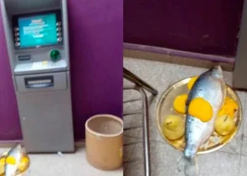 Hicieron una “macumba” en un cajero para cobrar el bono de ANSES: “¿Por qué no prueban con laburar?”