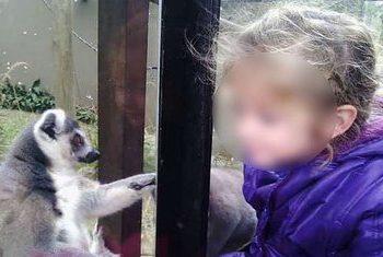 La pisan, le cortan el pelo y las pestanas: tiene 10 años, sufre bullying escolar y no quiere ir más a clase “por miedo”