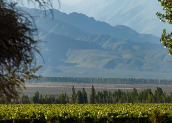 Más de 800 proyectos se presentaron en el Mendoza Emprende Semilla