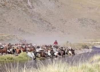Piden declarar de interés los «caminos de las trashumancia» en el sur mendocino