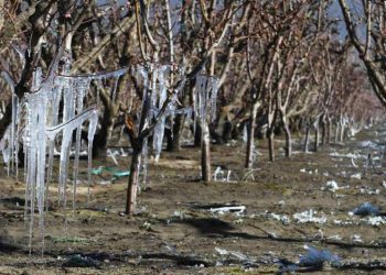 La temperatura llegó a 7 grados bajo cero en Real del Padre