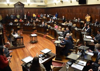 Qué harán los diputados y senadores que dejaron la Legislatura