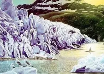 Qué ves: el test viral que revela tu personalidad