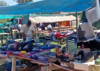 Destacado crecimiento de la Feria de las Colectividades de Salto de las Rosas