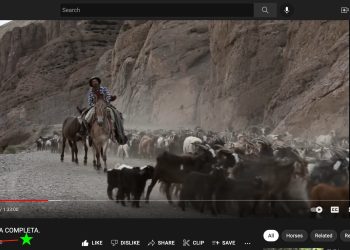 Récord de «Arreo»: el documental de Tato Moreno ya llegó a más de 4 millones de visitas