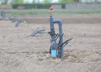 Invitan a una capacitación sobre operación y mantenimiento de riego por goteo