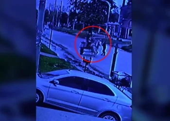 VIDEO IMPACTANTE: iba en un carro a caballo y lo asesinaron de un escopetazo en la cabeza