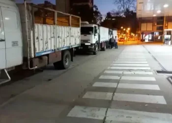 Camiones parados, ganado vendido y no entregado, cosechas que no se recogen: el faltante de gasoil y sus graves consecuencias