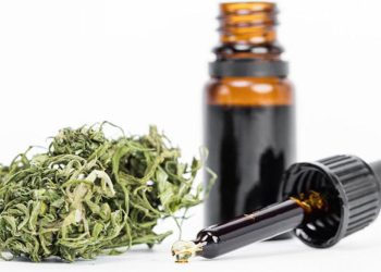 Cannabis medicinal: qué proyectos hay en Mendoza