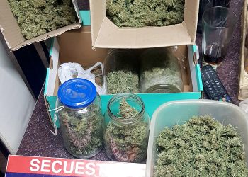 Hallaron medio kilo de marihuana en una casa de calle Las Heras