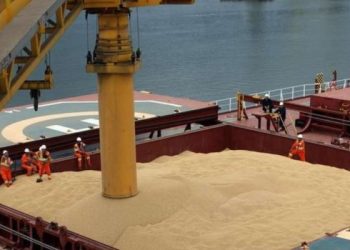 El volumen comercializado de soja es el menor en casi dos décadas