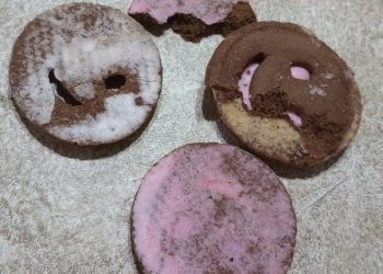 Viral: Creyó que las galletitas venían con menos glaseado, pero ocurría algo asqueroso