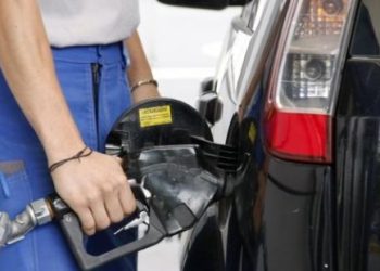 Gasoil: elevan el corte obligatorio de la Ley de biocombustible para incrementar el abastecimiento