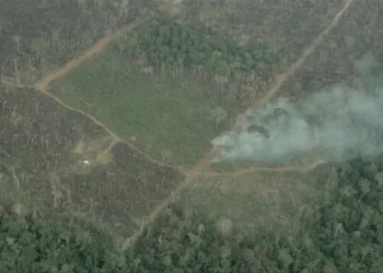 La Argentina entró ayer en default ambiental: qué significa y cómo nos ubicamos en el mundo