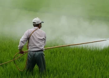 La Corte de Estados Unidos confirmó una millonaria condena a Monsanto por el uso de glifosato