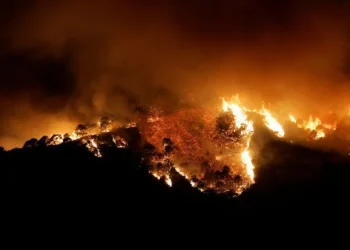 Málaga en llamas: evacúan a más de 2 mil personas por el avance de un gran incendio forestal