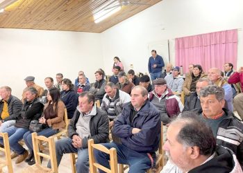 Más de un centenar de viñateros sanrafaelinos son asistidos porel Proyecto PROCER