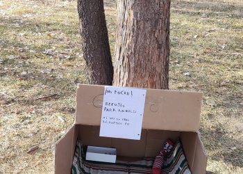 Niños crearon un “refugio para perritos sin hogar”  en la Plaza Almirante Brown