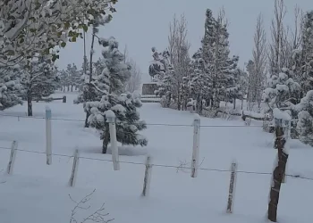 Ola polar: alertas por nevadas y vientos de 100 km/h para 5 provincias, entre ellas Mendoza