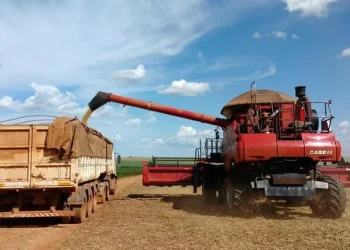 Por la falta de gasoil, la Mesa de Enlace convocó a un paro nacional del campo el 13 de julio