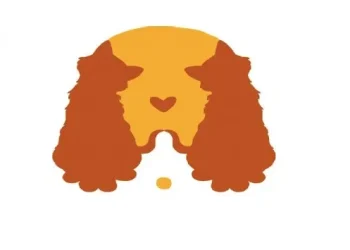 Qué ves: el test viral que revela si sos una persona que cree en el amor