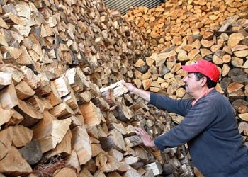 Fuerte incremento del valor de la leña