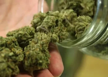 Uruguay analiza permitir a los turistas el acceso a la marihuana recreativa legal