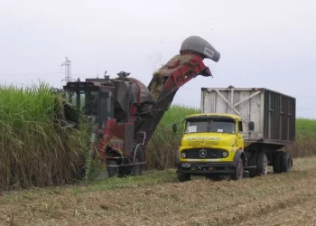Escasez de gasoil: el paro de camioneros se extiende a todo el país y los productores hablan de los impactos comerciales