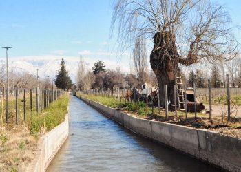 Productores viñateros solicitan un plan de impermeabilización de canales