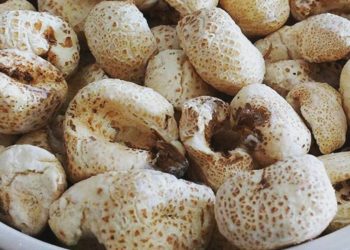 Se hizo viral: Subieron un video de cómo se hacen las tutucas y a muchos se les quitó el hambre