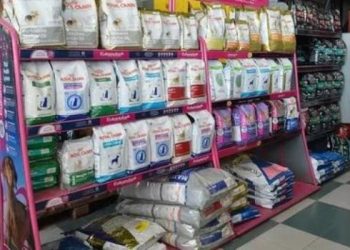 Advierten que podría faltar alimento para mascotas por el cepo a las importaciones