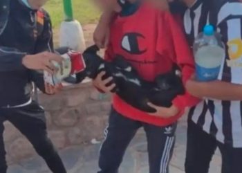 Bronca en las redes sociales por una foto de tres jóvenes que le dan vino a un perro
