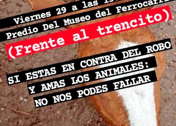 Reunión de entidades protectoras de  animales por el robo, matanza y venta de carne de caballo