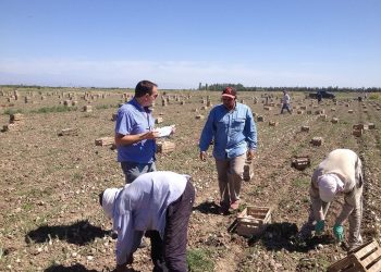 Coninagro: “la mejor vacuna  contra la pobreza es la cultura del trabajo»