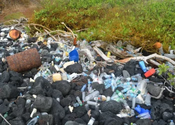 Ecuador detectó que la mayoría de la basura que contamina las Galápagos proviene de pesqueros chinos