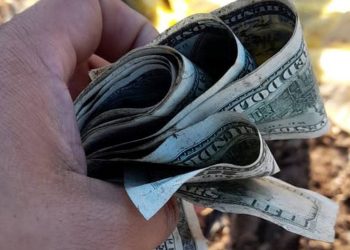 El misterio de los miles de dólares hallados en un basural: el origen del dinero