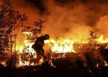 Ola de calor en Europa: feroces incendios forestales se extienden a España y Francia