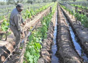 Desde la Sociedad Rural propusieron  una terna de nombres para ser el nuevo delegado por el Río Diamante
