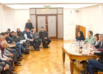 Trabas a la importación y falta de dólares: «castigamos a los que  producen»