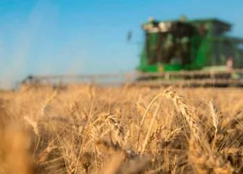 «Inconcebible», la respuesta del agro a las acusaciones de Alberto Fernández