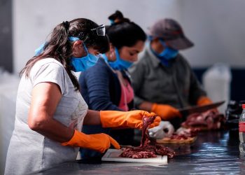 Continúa trabajando el programa de «Carne de cerdo con fines sociales» en General Alvear