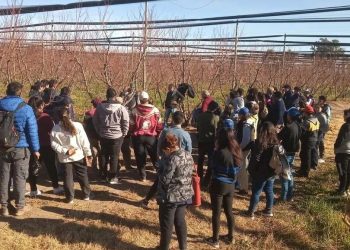Once escuelas participaron del concurso de poda en La Guevarina