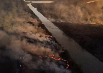 Alberto Fernández sobre los incendios: «No vamos a permanecer pasivos»